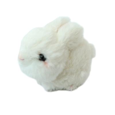 Cute Stuffed Animal - Baby Rabbit - White F0244