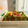 Anndorf Brain Stimulation Mini Garden Korean Childrens Toys