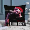 PC Limp Bizkit Pillow Cushion Cover Pillowcase Living Room Sofa Home Decor Customized