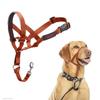 Training Stick - Training Collar Company of Animals - 18153W