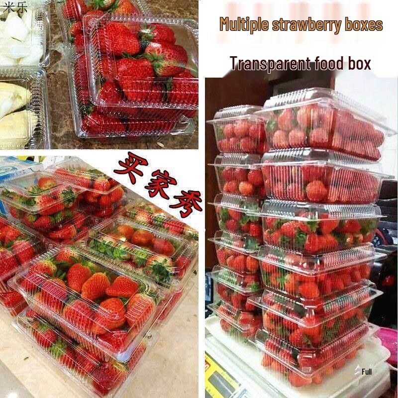 Disposable Transparent Rectangular Fruit Salad Box with Lid for Freshness Preservation