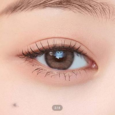 A2G Monthly 12.4 Brown