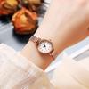 Versatile Stainless Steel Mesh Belt Light Luxury Diamond-Encrusted Student Exquisite Waterproof Quartz Watch