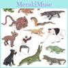 Jungle Animal Pvc Figure Set With Authentic Design For Childrens Educational Toys