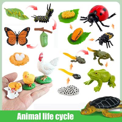 Tablica cyklu życia zestaw Montessori biologia nauka edukacja zabawki dla dzieci taca sensoryczna figurka zwierzątko cykl życia sortowanie drewniana zabawka