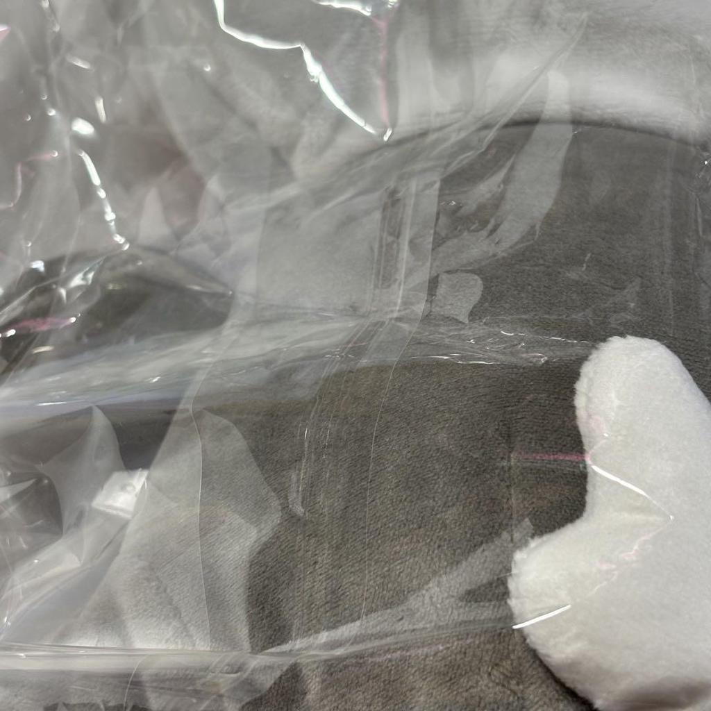 [USED] Stray Kids HAN QUOKKA Han Plush Toy