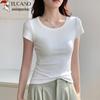 Woodpecker Women's Slim-Fit Cotton Short Sleeve T-Shirt