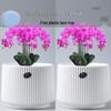 Elegant White Ceramic Flower Pot with Tray - Ideal for Ivy, Spider Plants, and Succulents