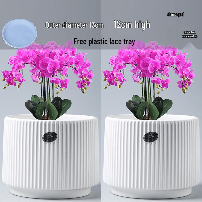 Elegant White Ceramic Flower Pot with Tray - Ideal for Ivy, Spider Plants, and Succulents
