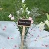10 Pieces Plant Wood Label Flower Herb Pot Blackboard Vegetable Labels Decor Gardening for Garden Courtyard Balcony
