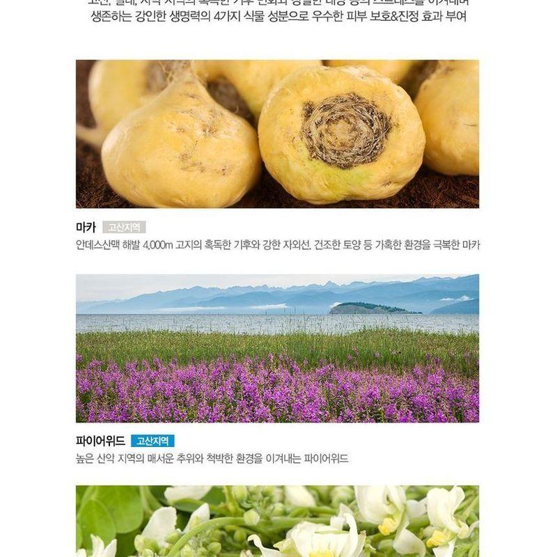 The Saem - Eco Earth Waterproof Sun Cream