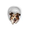 3D Toilet Wall Stickers, Bathroom Toilet Seat Cover Decoration And Self-adhesive Wall Stickers.