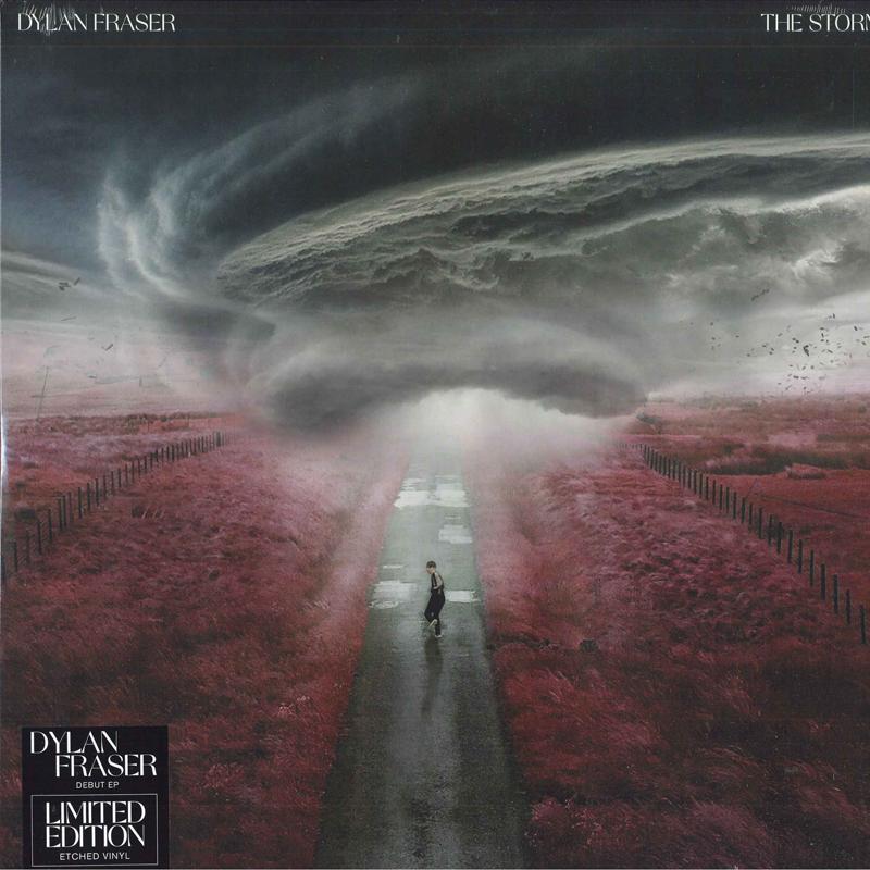 

LP Record DYLAN FRASER - The Storm 0190296761294 Atlantic 2021 Pop