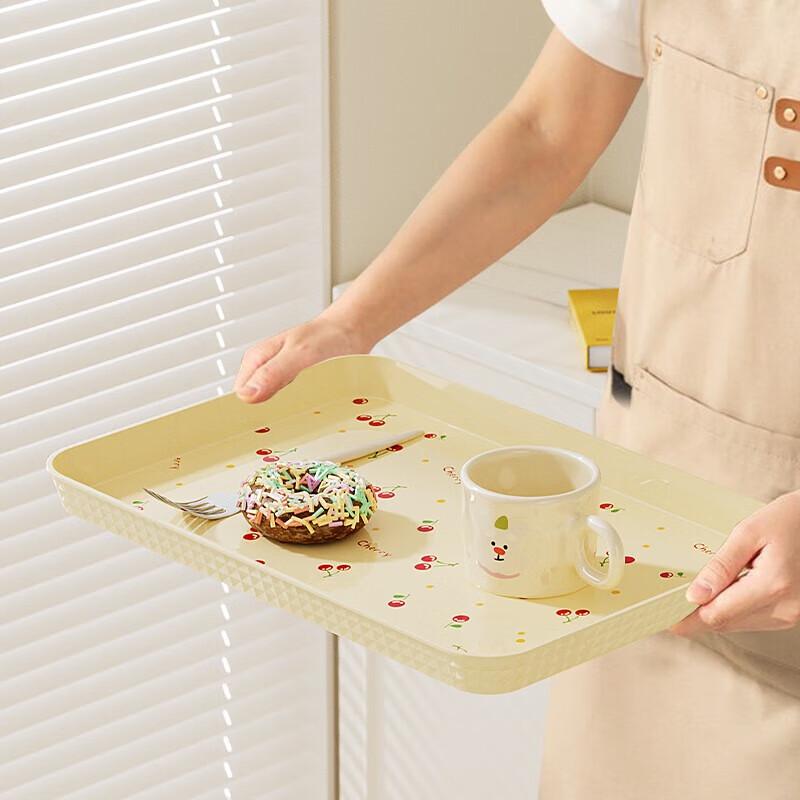 Dairuien Rectangular Plastic Dining Tray