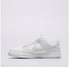 Dunk Low Next Nature Sneakers