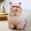 Cat & Dog Plush Toy - Corgi Chihuahua Cushion & Rag Doll