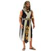 Egyptian Pharaoh Cleopatra Cosplay Costume With Polyester Fabric For Adults