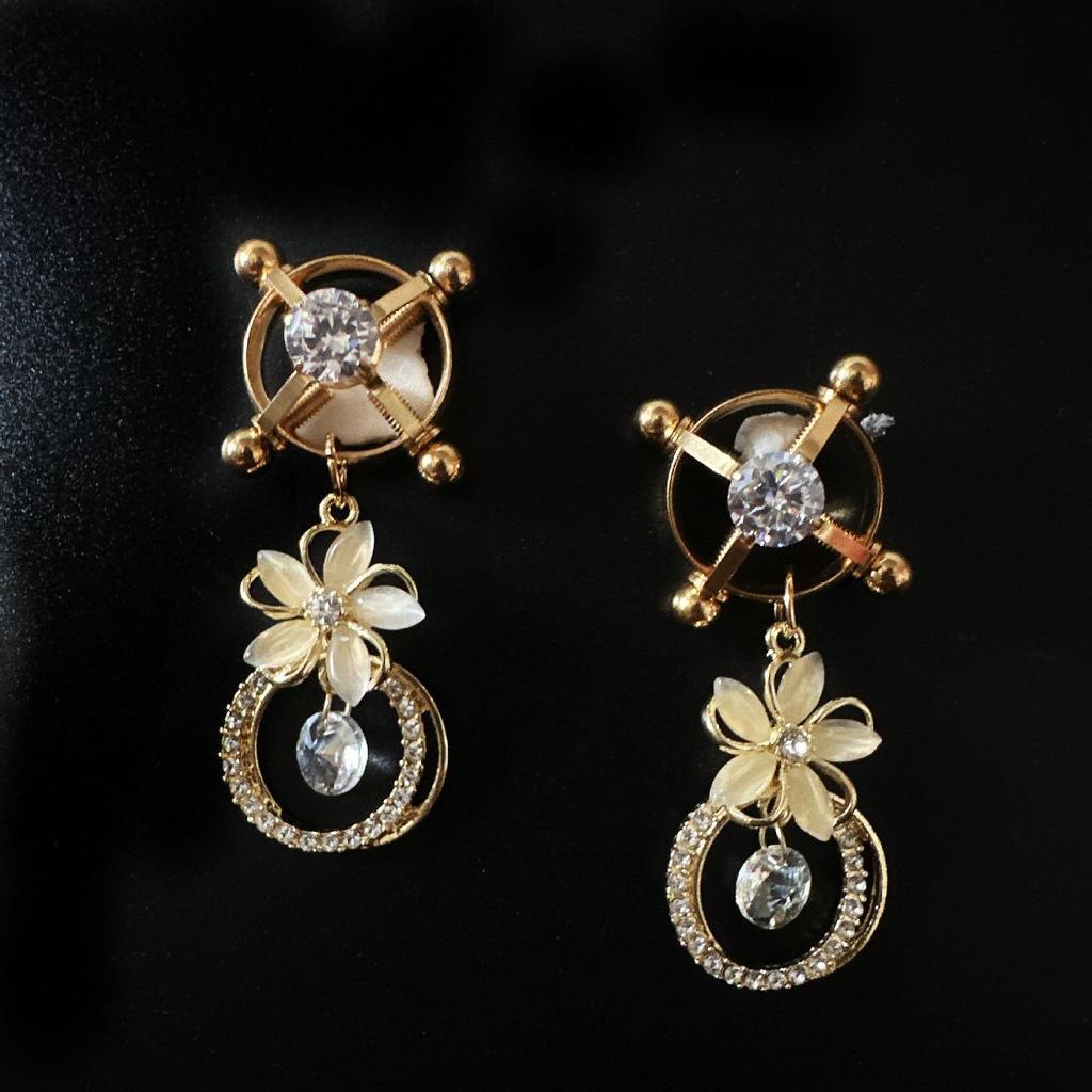 Adjustable Diamond Nipple Clamps with Anal Plug Training & Teasing Toys