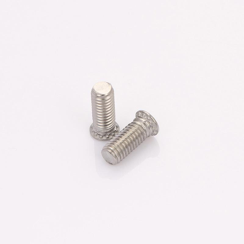 304 Stainless Steel Pressure Plate Cylindrical Head Rivet Screw (FHS-M2 M2.5 M3 M4 M5 M6 M8 M10)