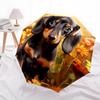 1pc Dachshund Flowers Automatic Folding Umbrella, Sturdy And Durable Automatic Folding Umbrella with 8 Ribs, Convenient for Outdoor Use085