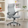 Ergonomic Swivel Mesh Office Chair, Lumbar Support, Flip-Up Armrests, Tilting Headrest, Gray