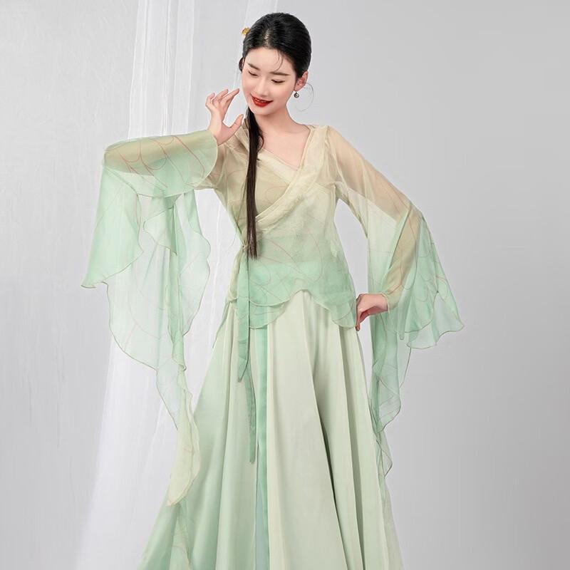 Gradient Butterfly Classical Dance Performance Dress