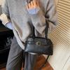 Premium Niche Bag Women's Autumn and Winter 2025 New Casual Shoulder Messenger Bag Popular Retro Portable Pillow Bag