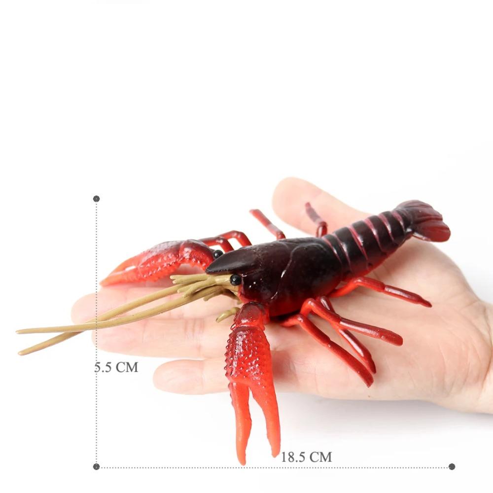 Realistic Prehistoric Sea Creatures Animal Figurines Baculite,Opabinia,Crab,Mantis Shrimp Educational Marine Animal Mode Figures