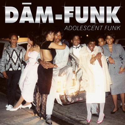 LP-Schallplatte DAM-FUNK - Adolescent Funk STH2239 Stones Throw Re 2010 US Soul/Funk