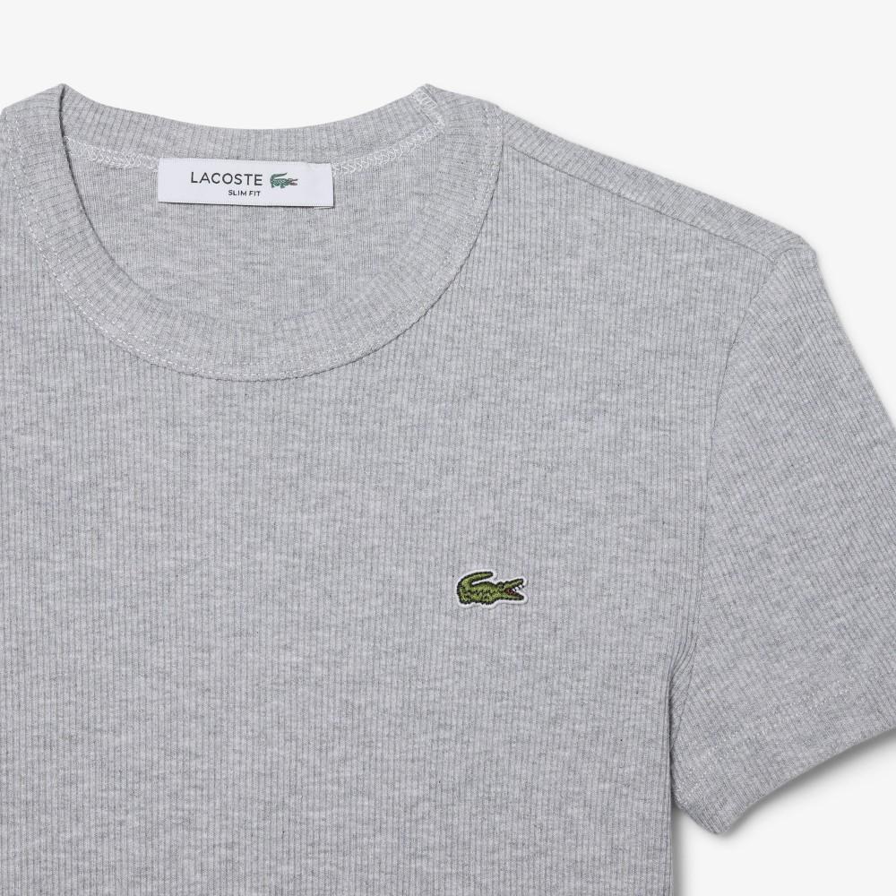 [lacoste] Women's Slim Fit Ribbed Short-Sleeve T-Shirt TF5538-56GCCA