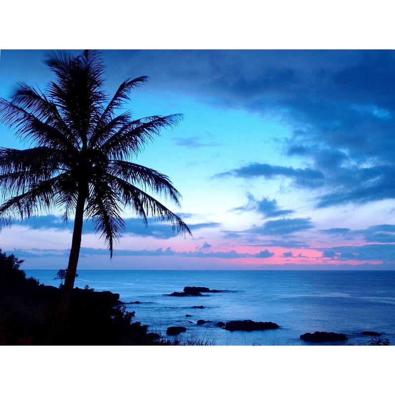 

5D Алмазная картина Пейзаж Картина Вышивка Ремесло Пейзаж Алмазная мозаика Мультфильм Домашний декор Ремесленный комплект Full Round 20x25CM