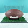 Softball Basketball Holder Box for Organization & Showcases, Football Display Case, Acrylic Clear Display Box with Stand