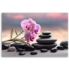 Canvas Print, Orchid Zen Spa