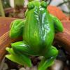 2 Pack Fluorescent Treefrog Farmer Clamps Permanent Rosin Statues For Deck Porch Border Decoration Night Glowing Halloween Accessories