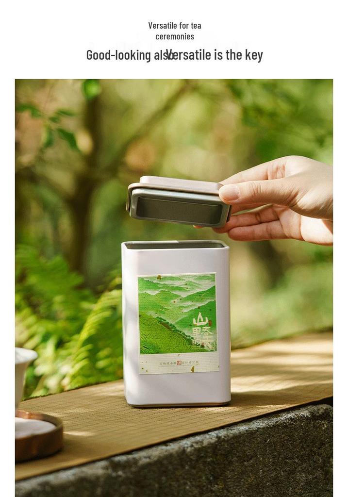 Eco-Friendly Green Tea Gift Box with Longjing, White Tea, Biluochun, Maojian, Cup & Iron