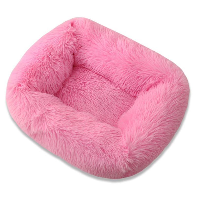 cute large dog beds