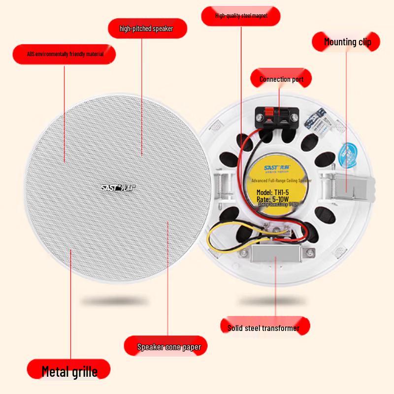 SAST TH15 5-inch Fixed Voltage Ceiling Speaker System CN plug (adapter included)