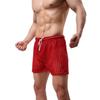 Men's Briefs See through Mesh Loose Lounge Boxer Shorts Mesh Hollow Pants