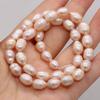 1String, A Natural Freshwater Pearls, Handcrafted Rice-shaped Pearl Beads for DIY Necklaces, Jewelry Making Supplies 36cm