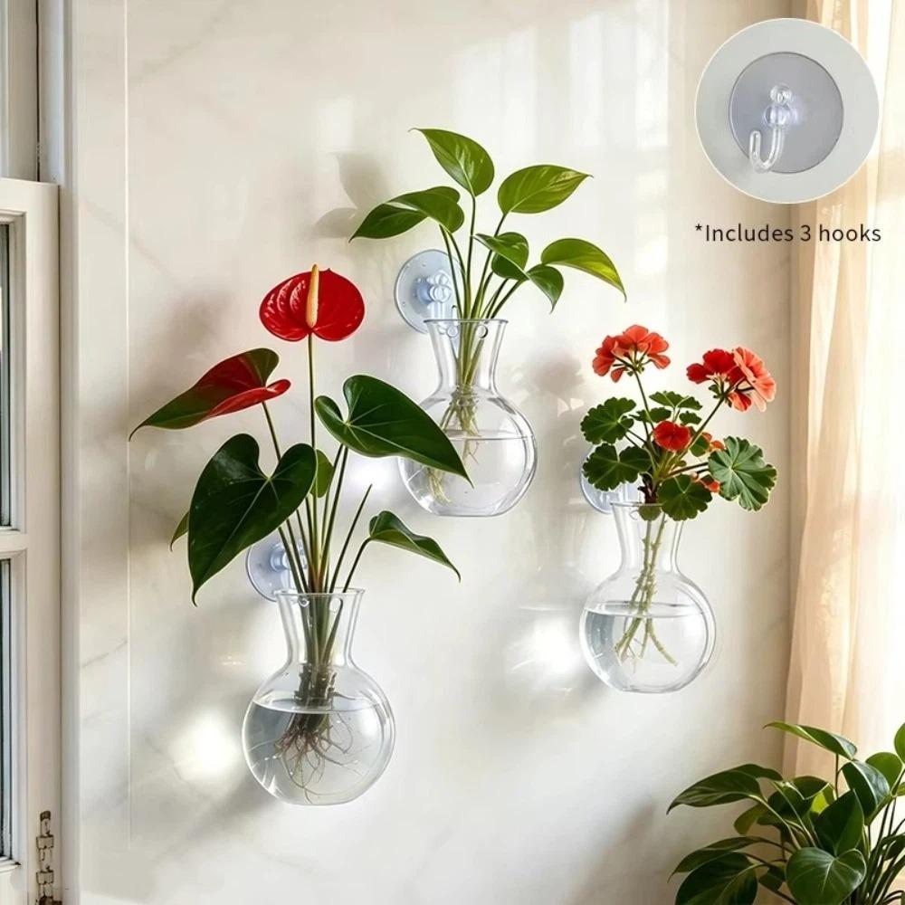 3PCS Hanging Wall Mounted Flower Pot Semi Circular Wall Mounted Vase Plant Propagation Jar  Kitchen