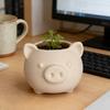 3D Printed Cute Pig Planter Cartoon Animal Shaped Cactus Flower Pot with Drainage Hole for Home Office Desk Decor