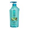 Fenghua Anti-Dandruff Shampoo