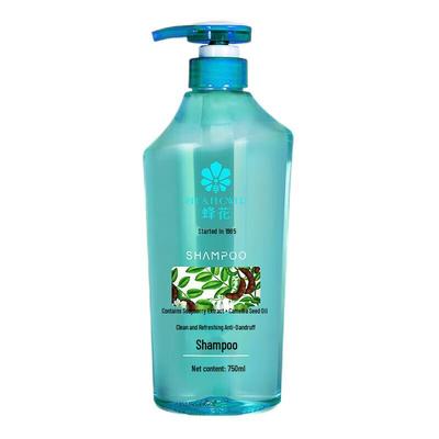 Fenghua Anti-Dandruff Shampoo