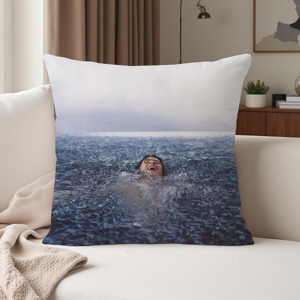 Popular Singers SShawn MMendes Pillow Case Suitable For Bedrooms Living Rooms Cars Home Decoration
