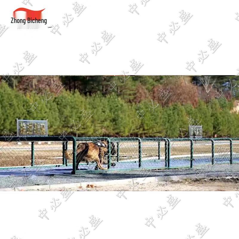 Outdoor Dog Agility Training Obstacle Course Equipment