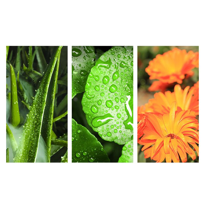 ZOZU 300g Aloe Moisturizing Gel Nourish Repair Shrink Pores and Reduce Acne Marks Cream