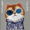 Etui do iPhone 16 Pro Max Nimmy Glasses Cool Cat Szare
