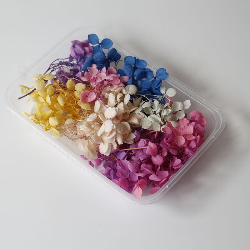 

Вечный набор для изготовления ароматических свечей своими руками: Сухоцветы, сосновые шишки и круглый веер для Рождества и Дня матери.