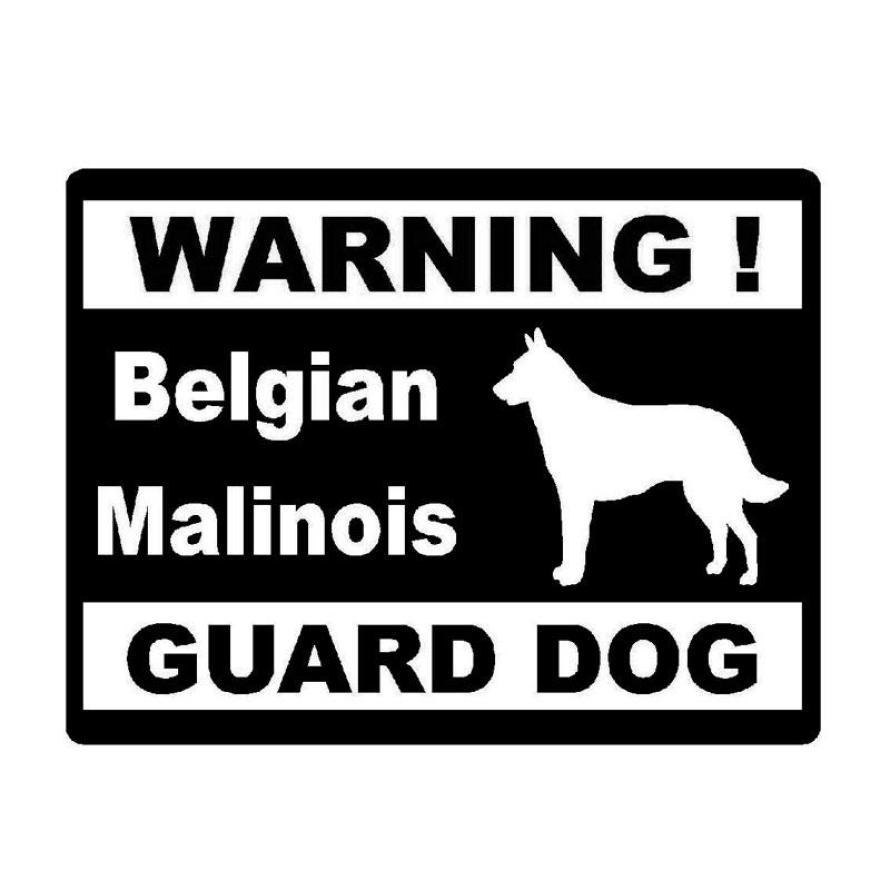 malinois car decal