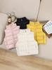 Kids' Cotton Vest: Thick Stand-up Collar Sleeveless Jacket for Boys and Girls – Stylish Autumn/Winter Gilet for Babies